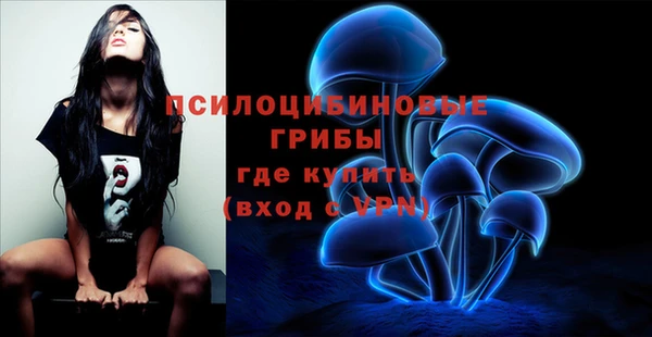 твердый Нягань