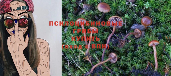 трава Абдулино