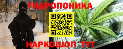 амф Славгород