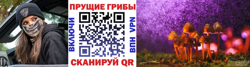 Псилоцибиновые грибы Magic Shrooms  Алатырь 